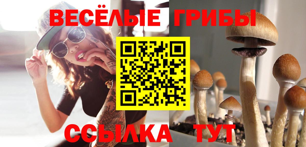 Псилоцибиновые грибы Magic Shrooms Людиново