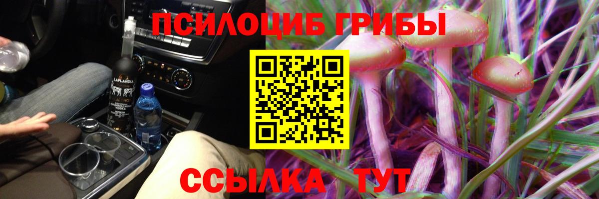 Людиново  купить  сайты  Вход с VPN  Псилоцибиновые грибы Cubensis 
